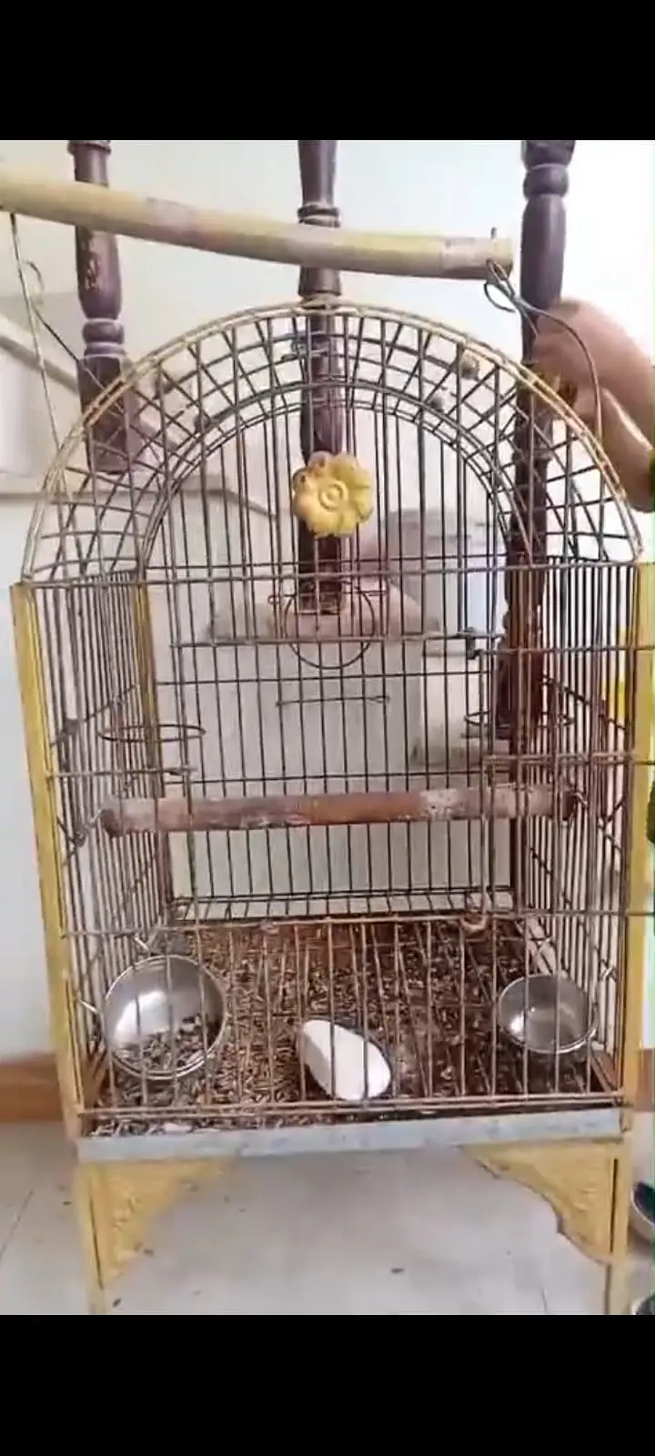 02 Cages for sale — photo 2