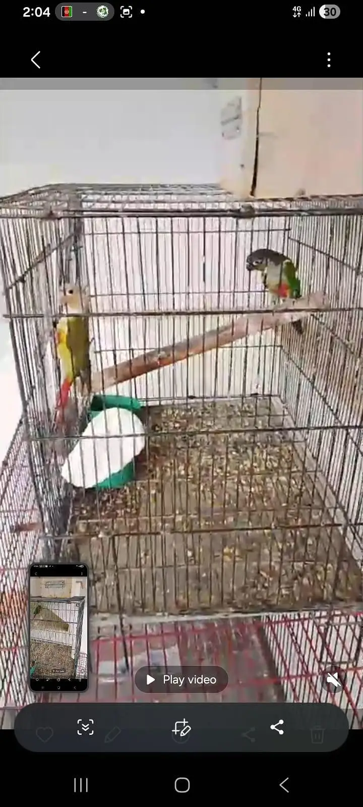 02 Cages for sale — photo 3