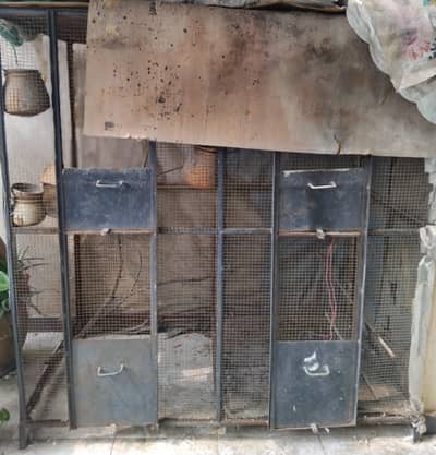 Iron birds cage for sale used