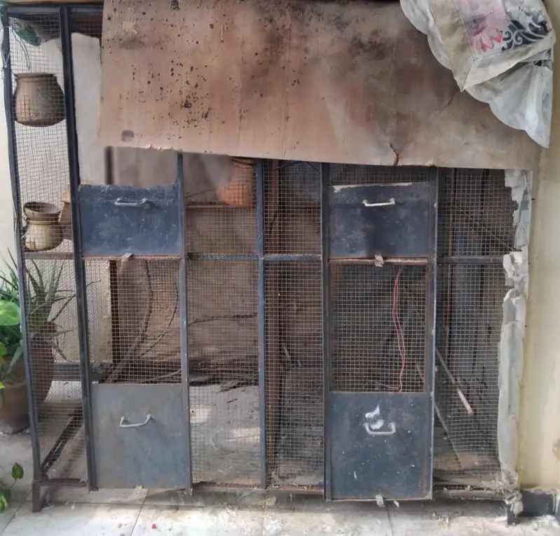 Iron birds cage for sale used — photo 2