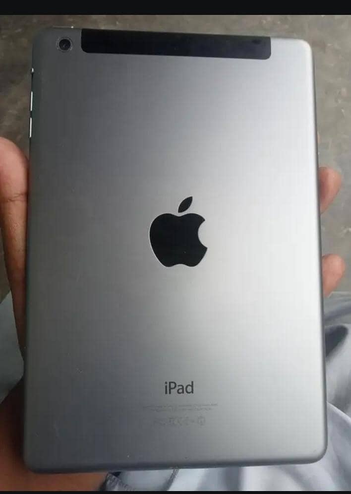 ipad mini 2 1