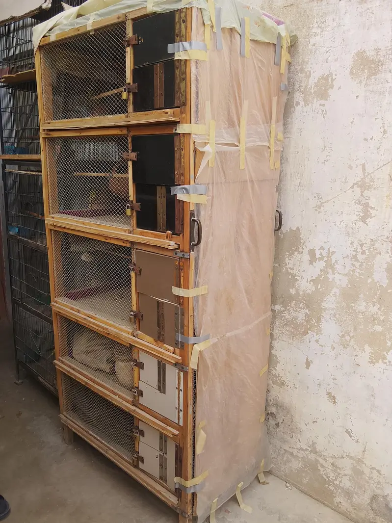 birds cage — photo 2