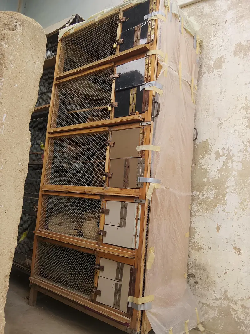 birds cage — photo 3