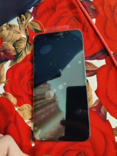 iphone 11 panel