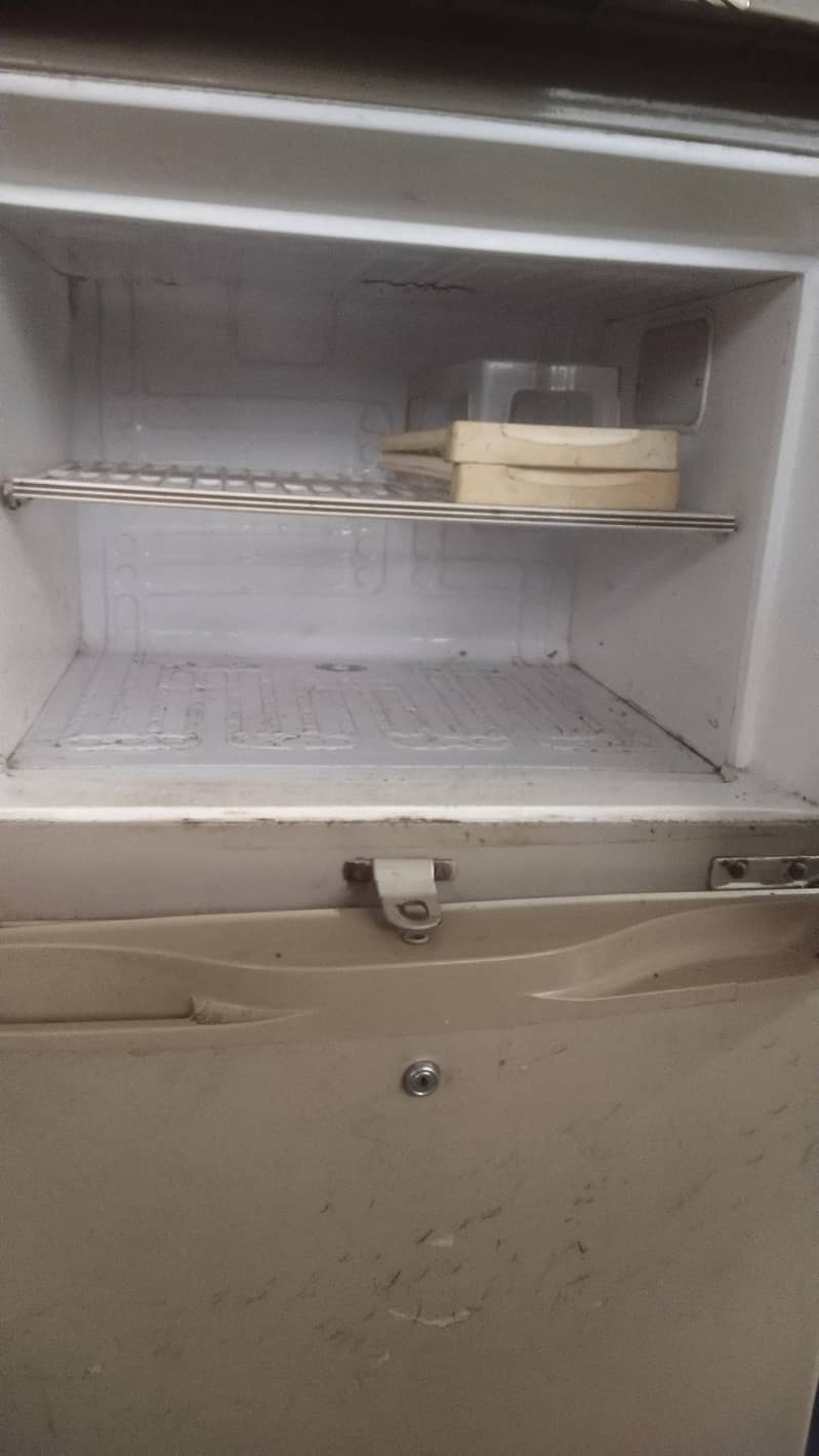 Full size waves fridge 1