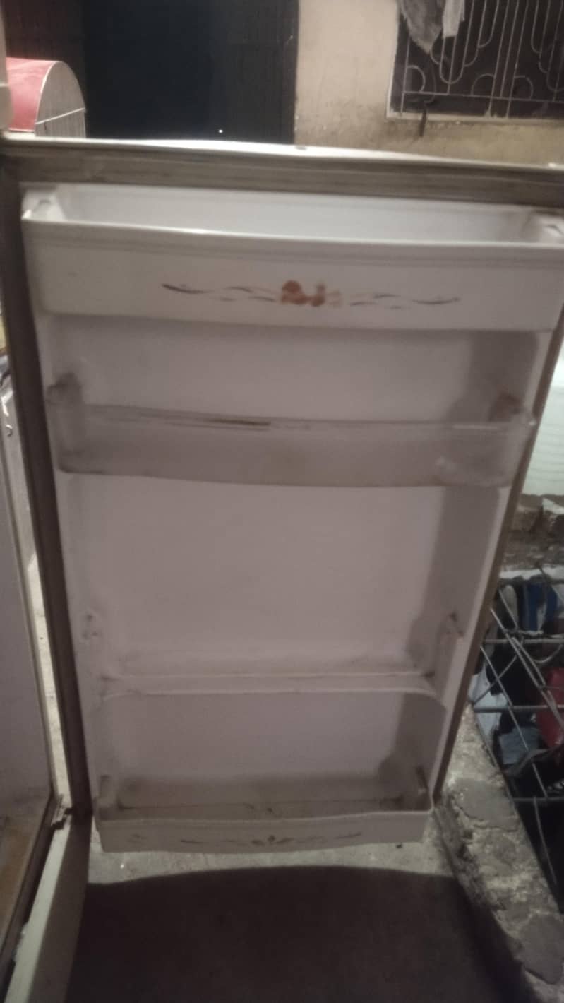 Full size waves fridge 3
