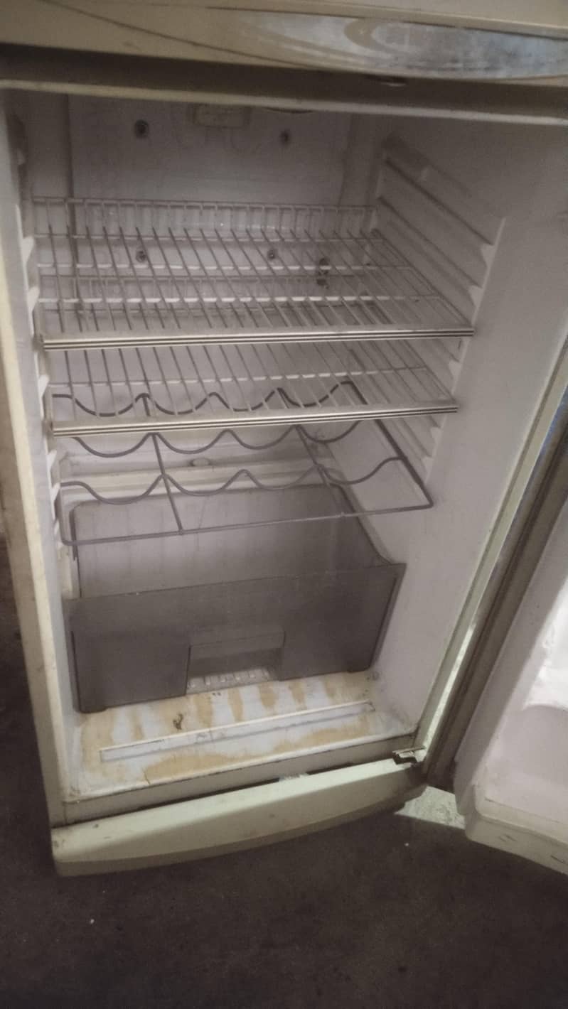 Full size waves fridge 4
