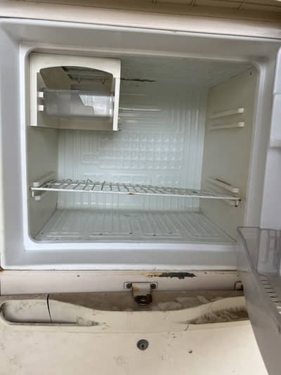 Waves fridge
