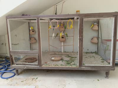 20x budg along with accessories (big bird cage)