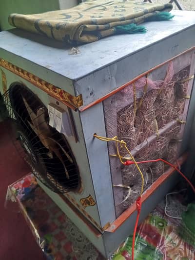 12 watt DC cooler