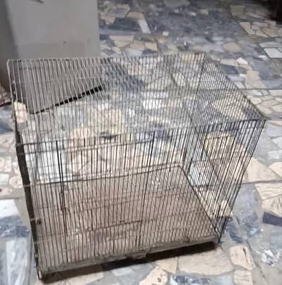 Cage for birds