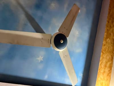 Ceiling Fan