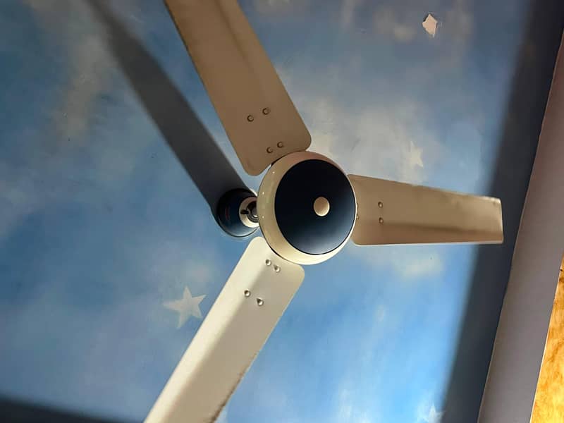 Ceiling Fan 1