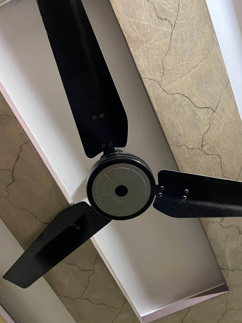 Ceiling Fan 2