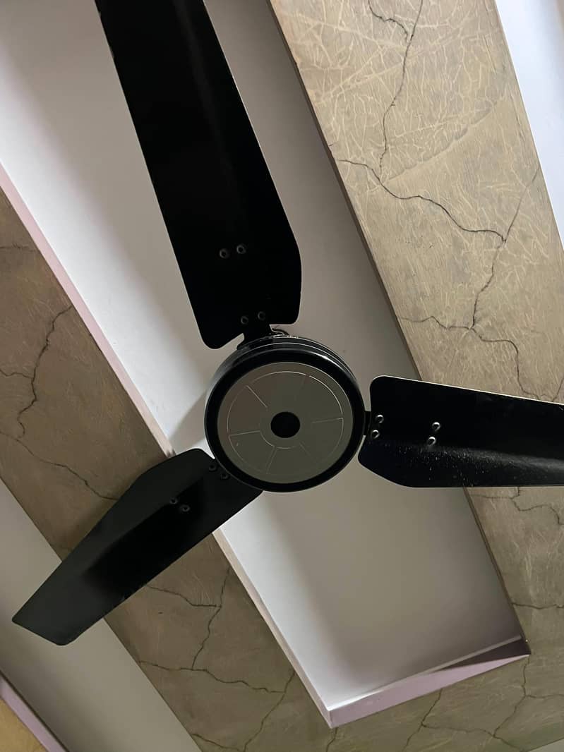 Ceiling Fan 3