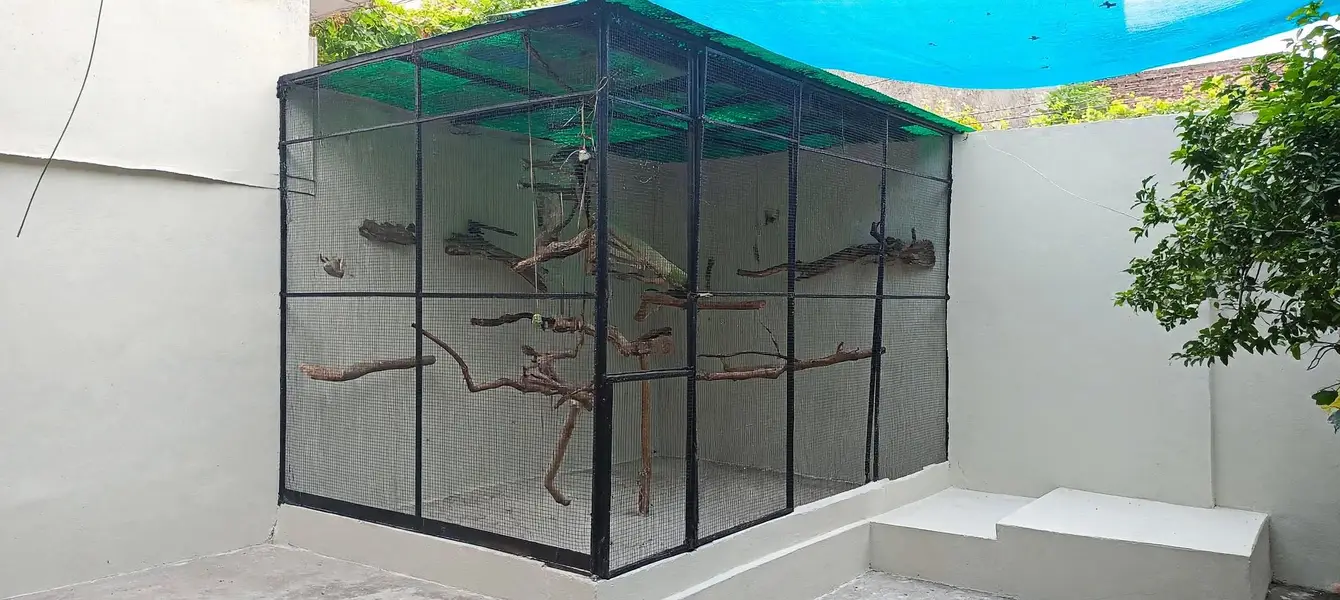 Cages | Pinjra | Iron Cage | Steel Cage | wooden Cage | Birds Cage