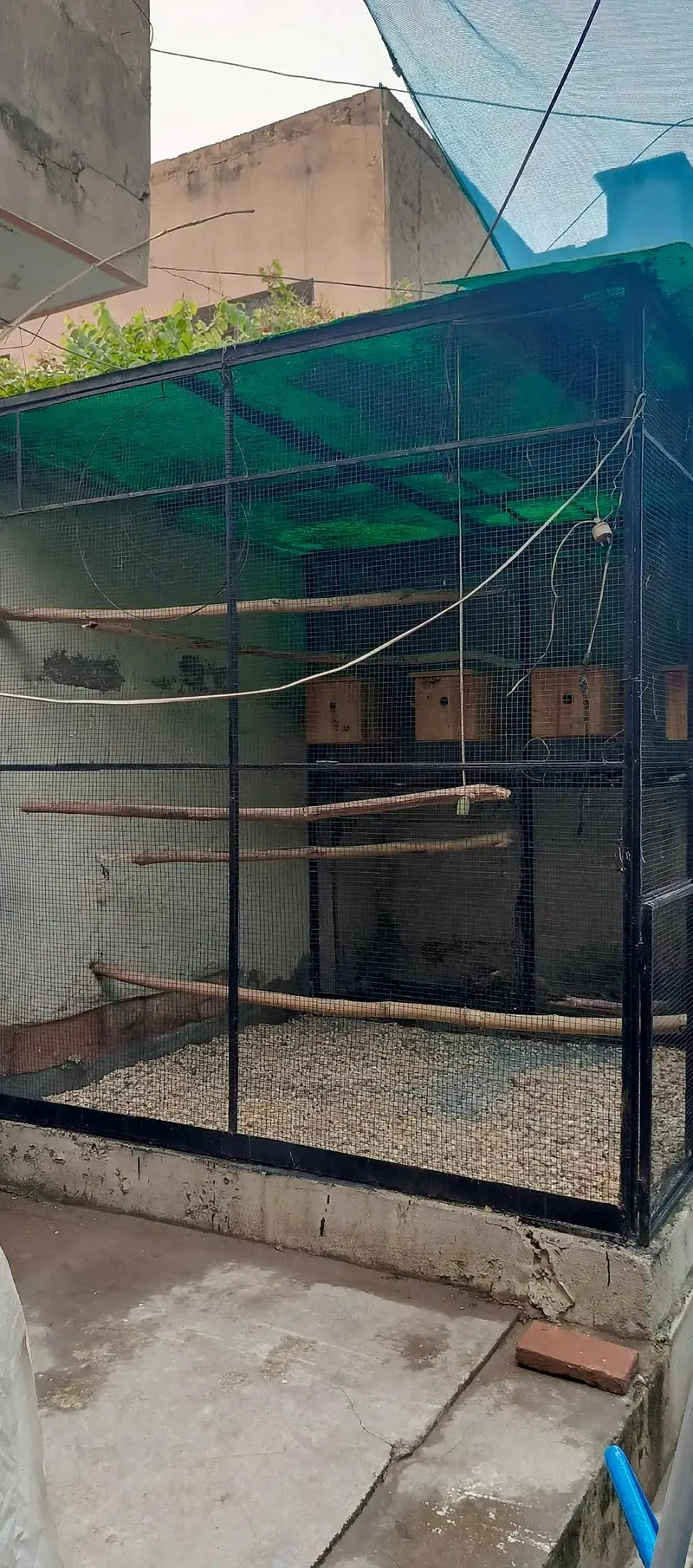 Cages | Pinjra | Iron Cage | Steel Cage | wooden Cage | Birds Cage — photo 2