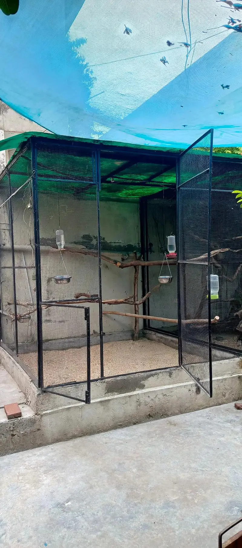Cages | Pinjra | Iron Cage | Steel Cage | wooden Cage | Birds Cage — photo 3