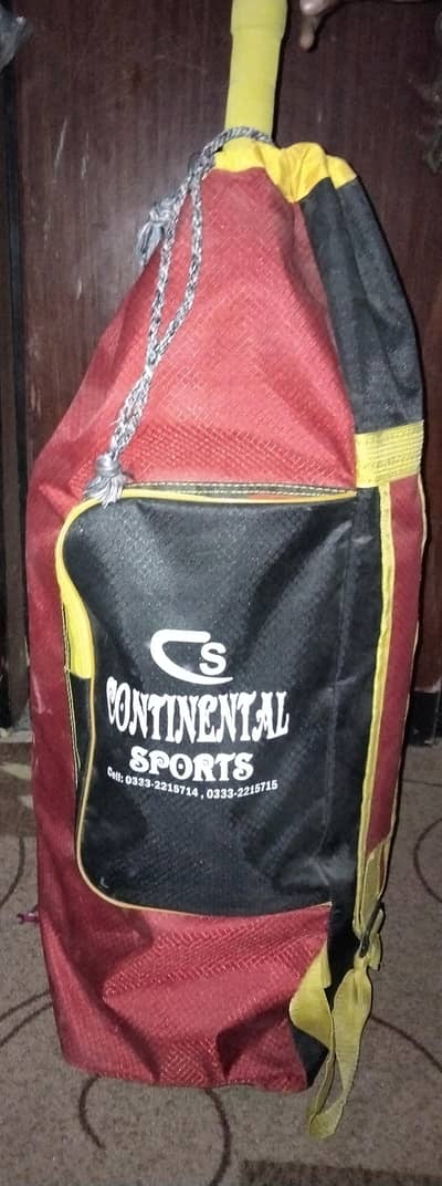 hard ball cricket kit