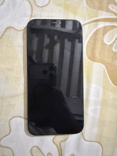 Apple iPhone 12 Pro Max