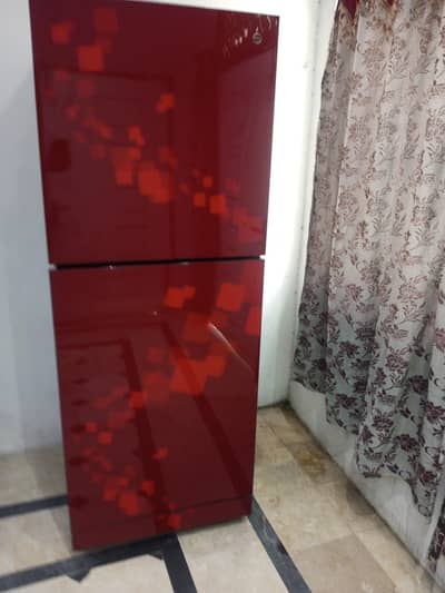 PEL Full Size Refrigerator — Zabardast Condition.
