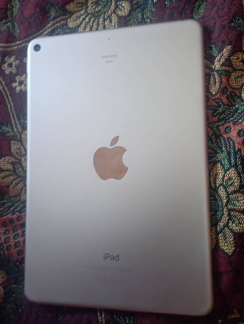 iPad mini 5 256gb 3