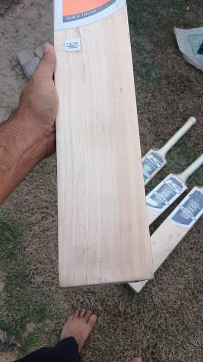 hard ball bat English Willow