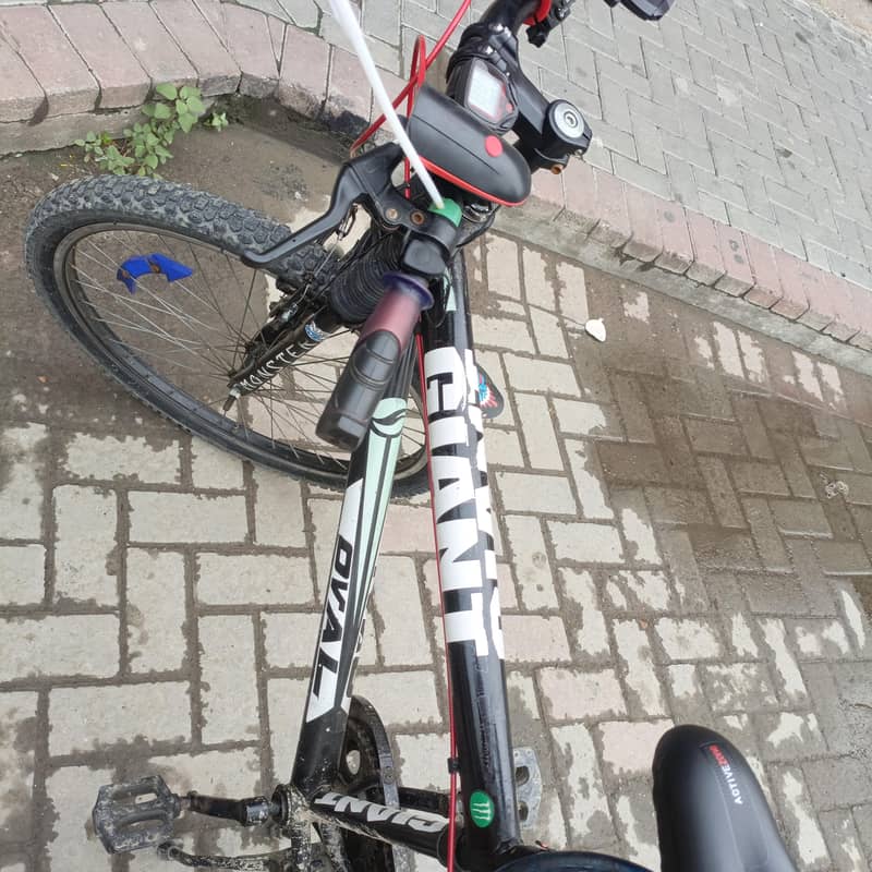 bicycle 2