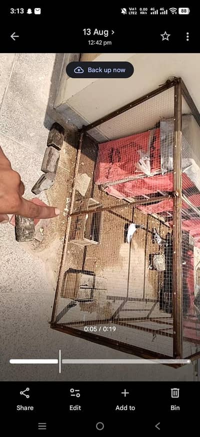 cage for sale