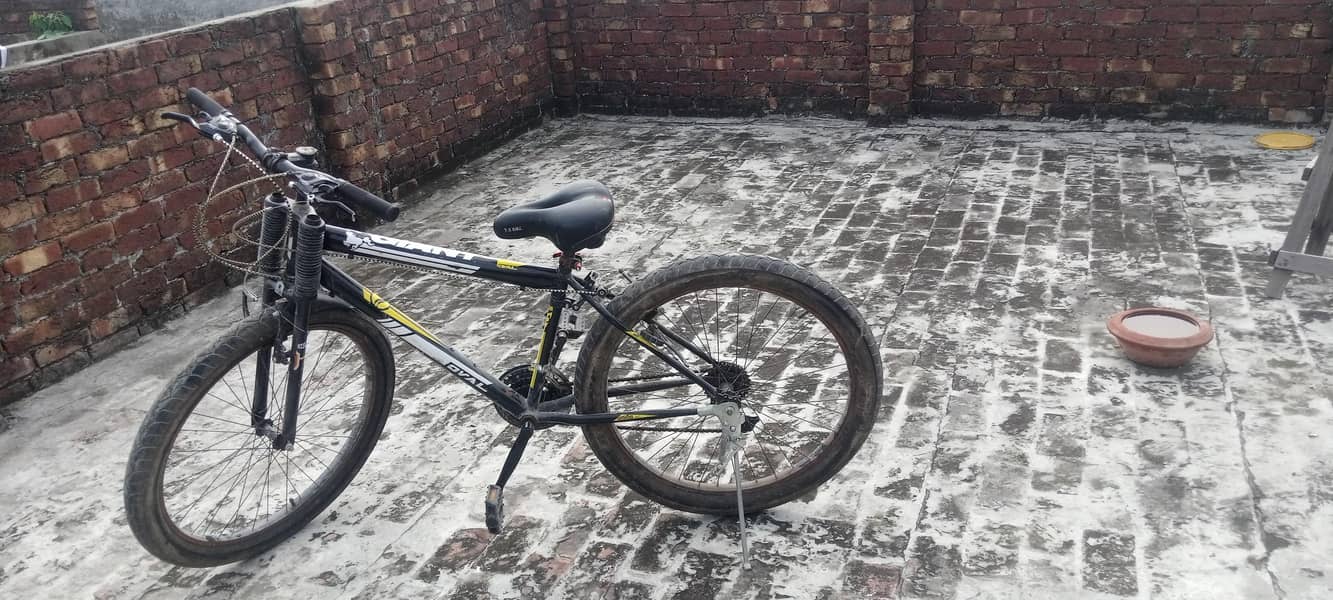 bicycle 1