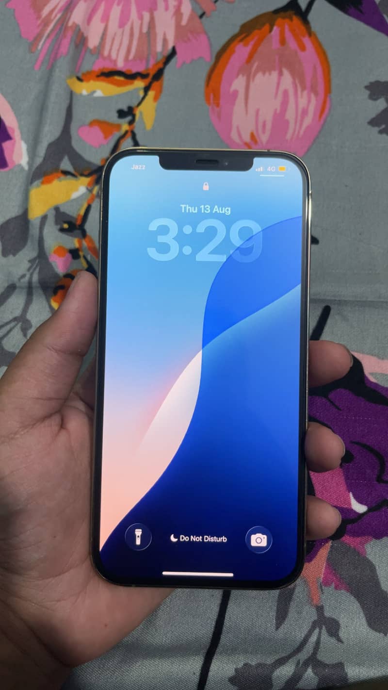 Apple iPhone 12 Pro Max 0