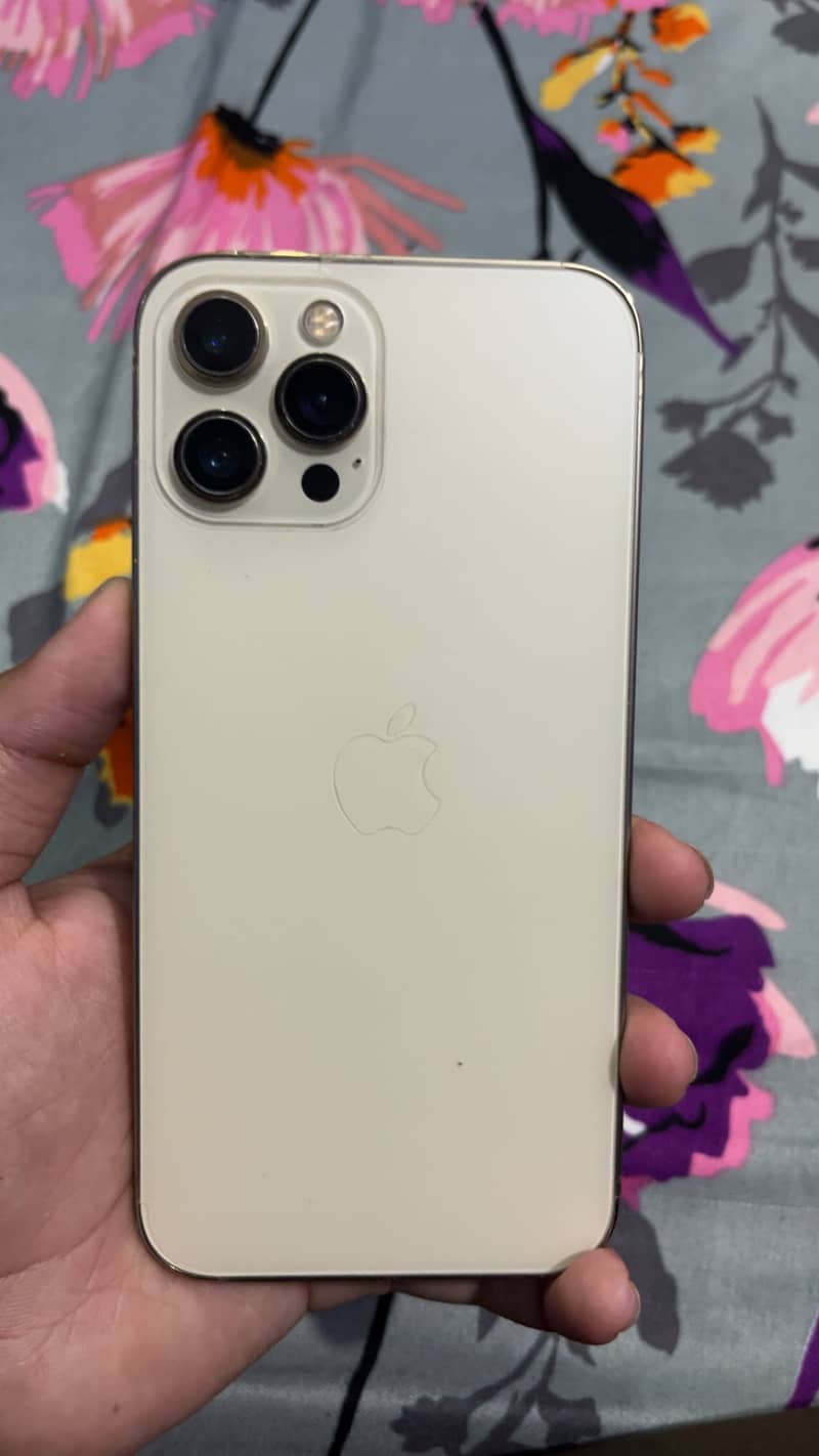 Apple iPhone 12 Pro Max 1