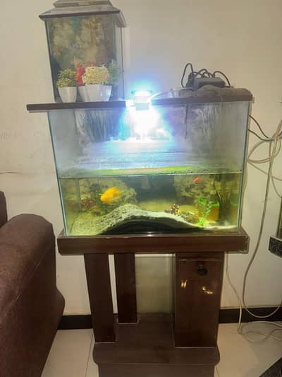 Aquarium and fishes for sell