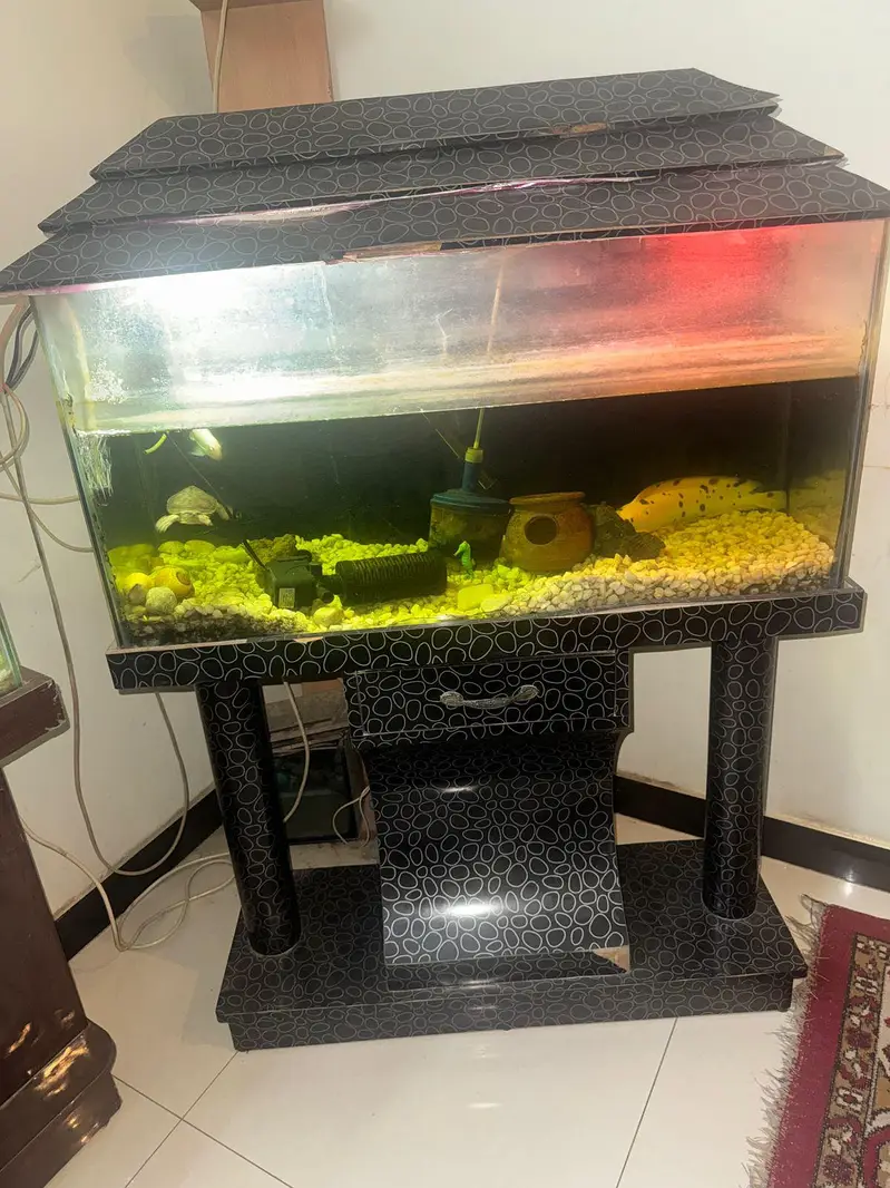 Aquarium and fishes for sell — photo 3