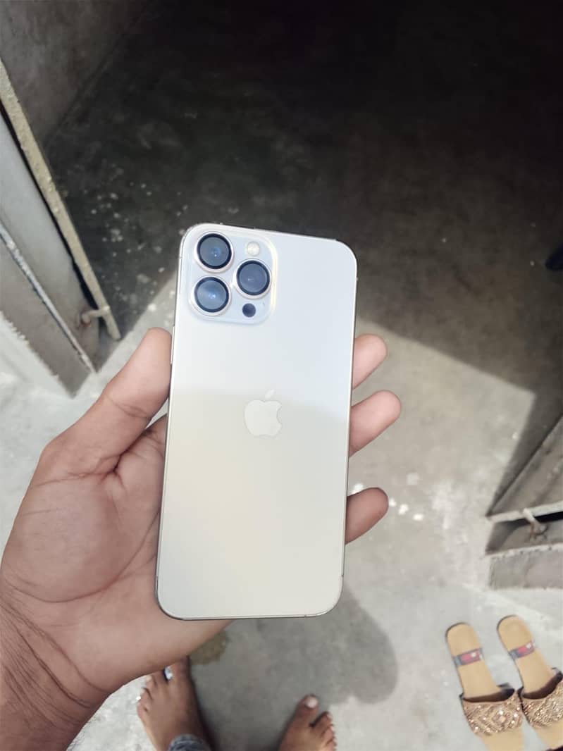 Apple iPhone 13 Pro Max 0