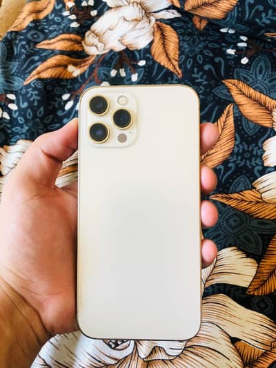 Apple iPhone 12 Pro Max