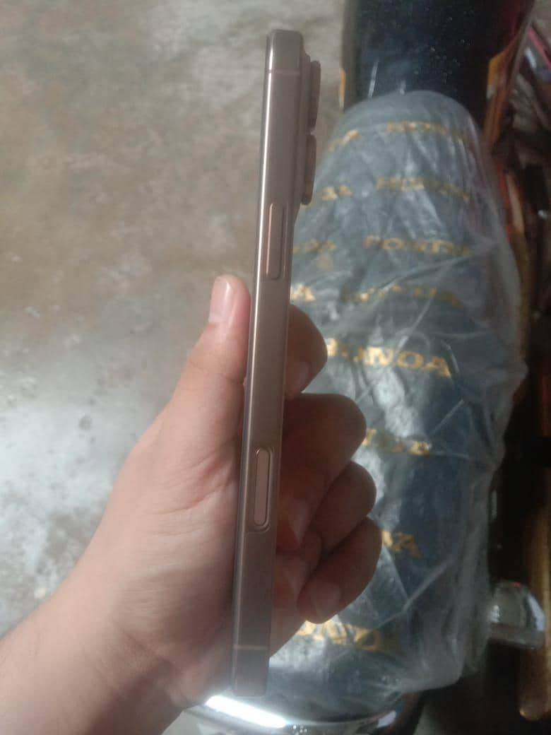 Apple iPhone 16 Pro Max 1