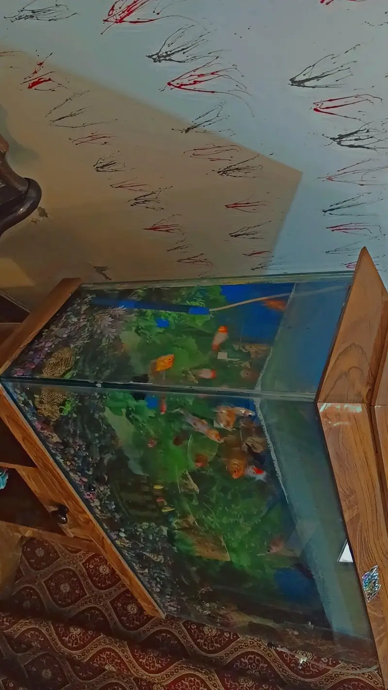Aquarium — photo 3