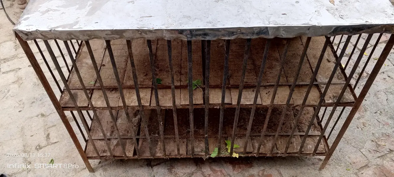 strong used iron hen cage — photo 3