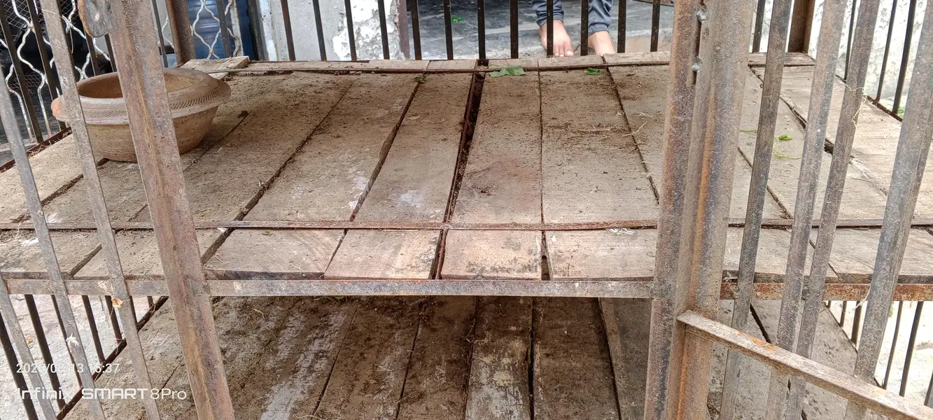 strong used iron hen cage — photo 4