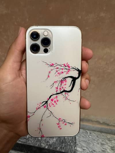 Apple iPhone 12 Pro
