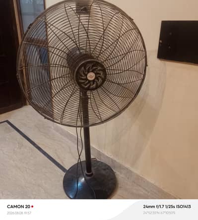 for sale