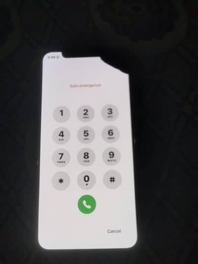 Apple iPhone X