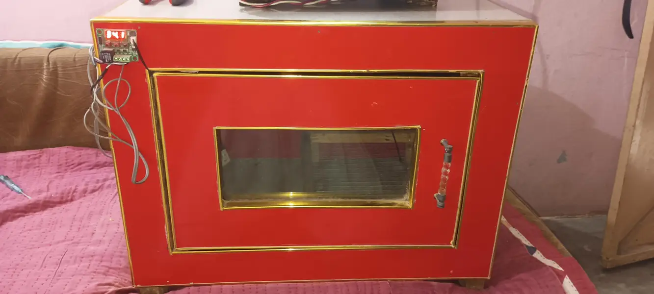 Incubator — photo 3