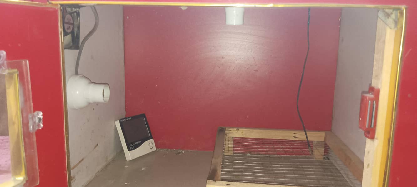 Incubator 3