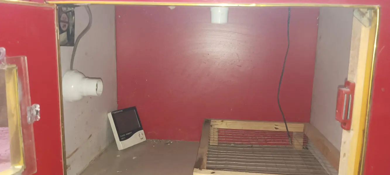 Incubator — photo 4
