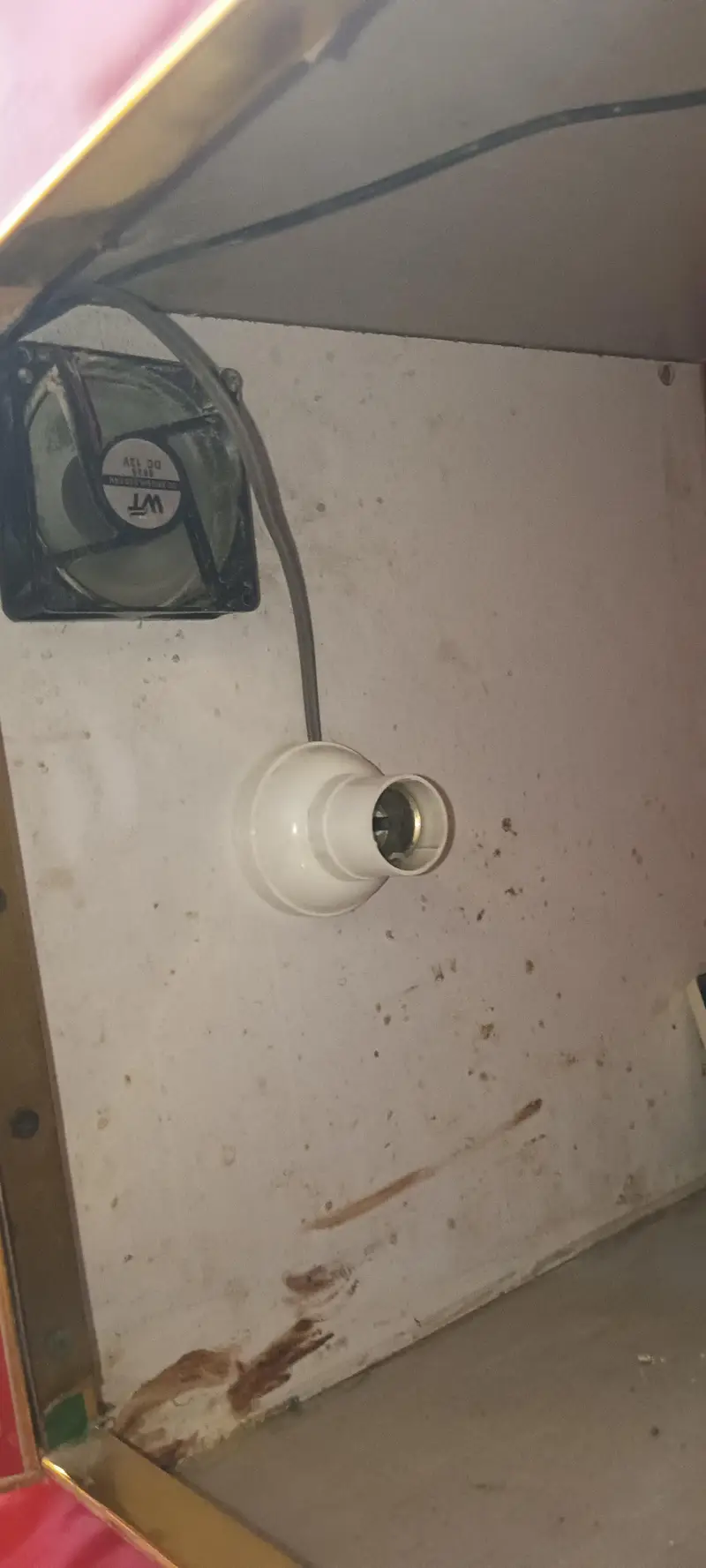 Incubator — photo 5