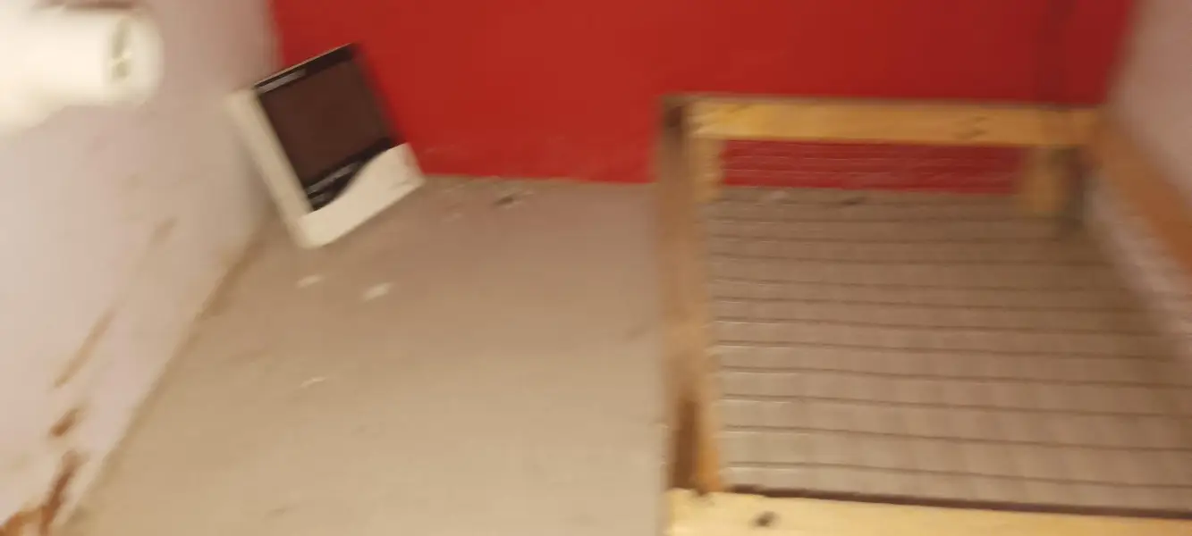 Incubator — photo 6