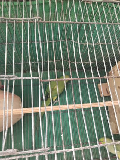 fore sale