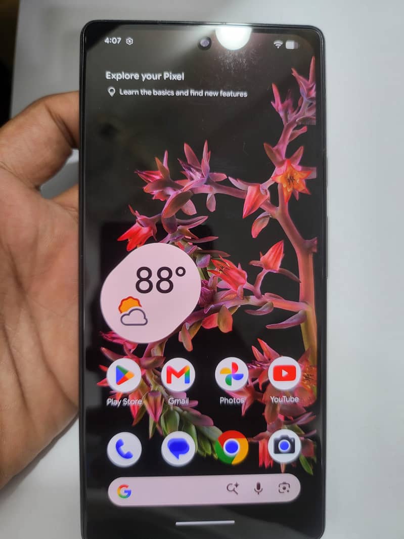 google pixel 6 panel change 0